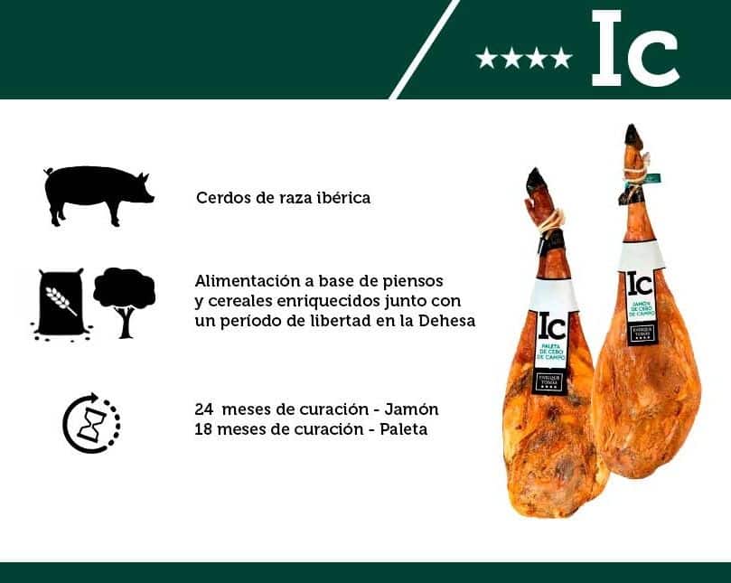 Infographie Jambon Cebo de Campo - Enrique Tomás