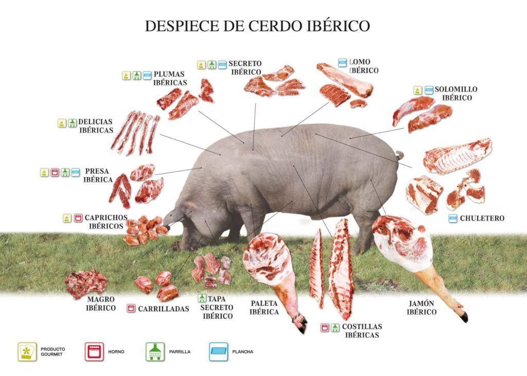 Schweinefleischteilungsschema